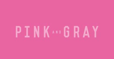 ピンクとグレー（映画）みんなの感想