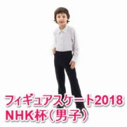 フィギュアスケートNHK杯2018男子